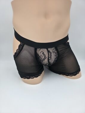Men's Sheer Lace-Panel Boxer Briefs in Black